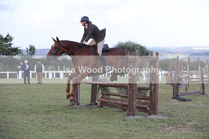 JPP_3666 - Class 24: Open Working Hunter