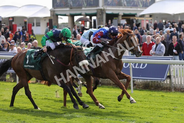 yr12052022r3-28 - Race 3 3.00pm The Paddy Power Hambleton Stakes