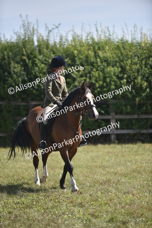 20260906-2608 - Class 12 - 14.2hh and Under