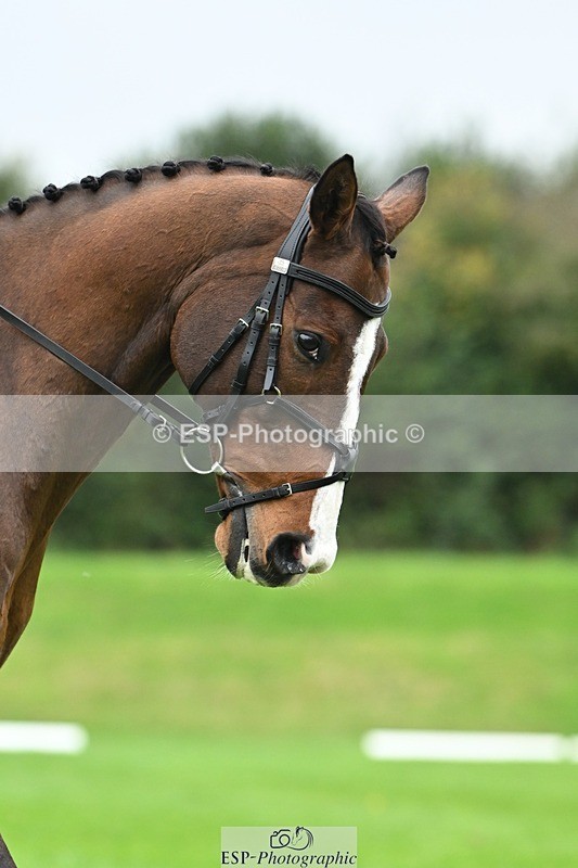 241024-125446-03560 - 520-Lottie.Newton-GOSSAMER