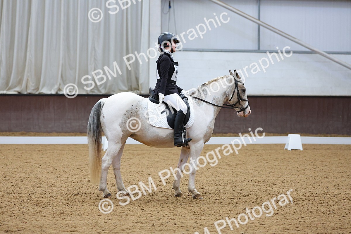SBM_002682 - Novice