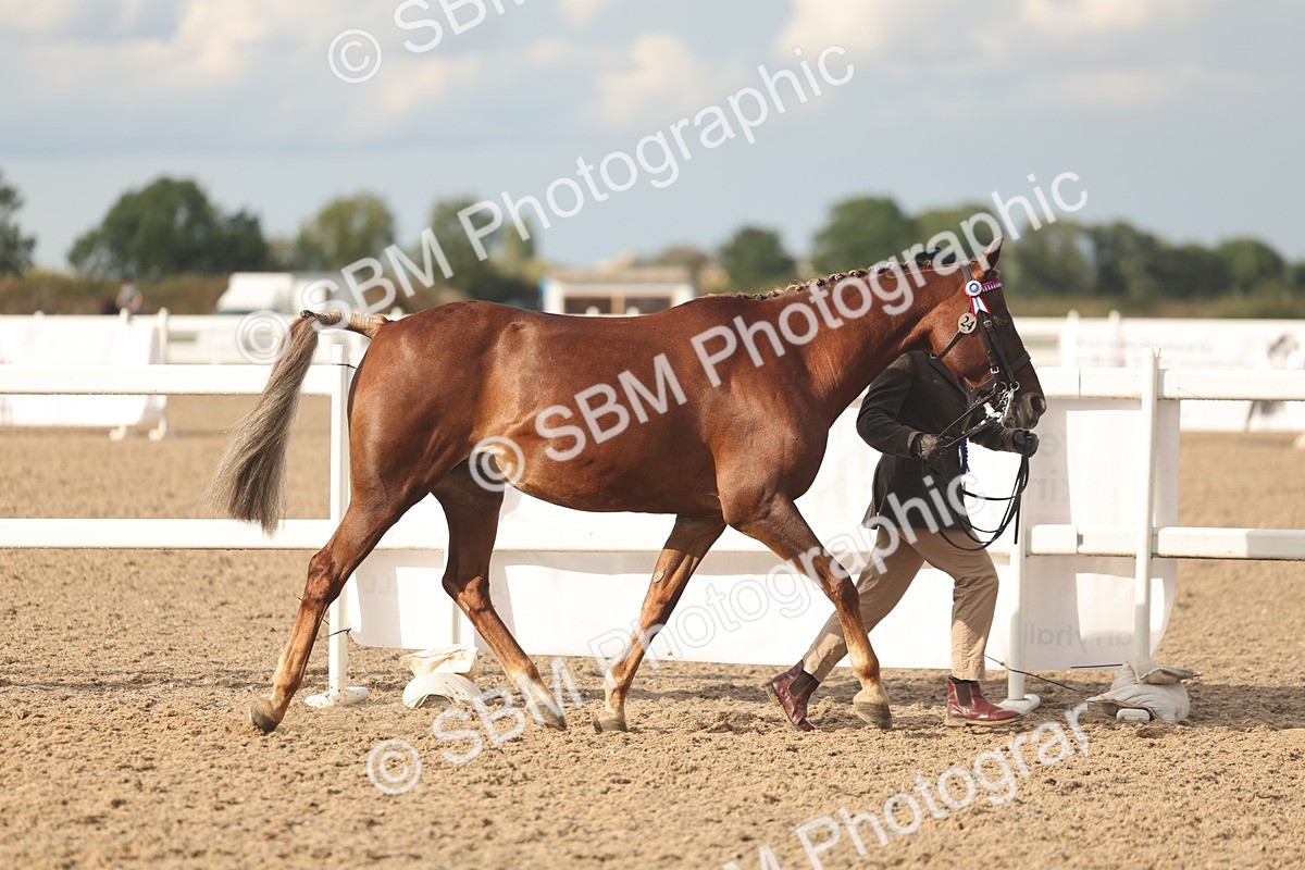 SBM_08607 - Class 29 - IH Veteran Pony