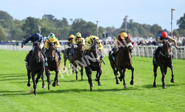 220825-237 Frescobaldi - Race 6 4.45pm British Stallion Studs EBF Convivial Maiden Stakes