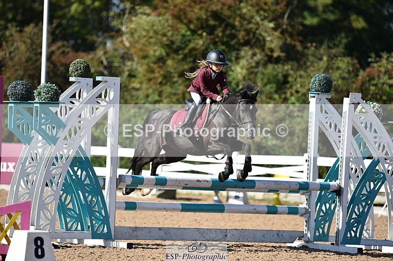 230903A-102950-03981 - Cls 18 Pony Brit Novice & 80cm Open
