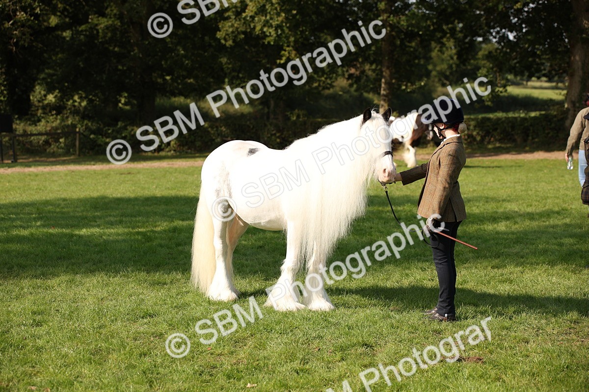 SBM_62234 - S55 - Traditional Cob In Hand