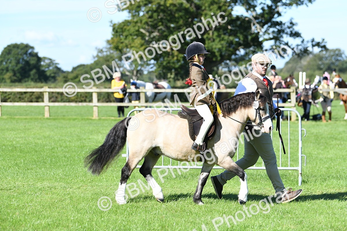 SBM_37111 - S18 - Novice & Newcomers Lead Rein Pony