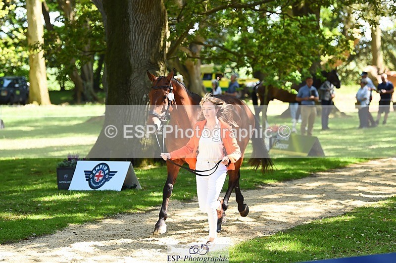 230524-150658-00068 - 306-JELSON-Lucy_Collecott-WEDTrotUp+DR