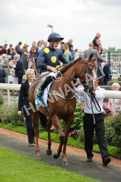yr04092022r2-9 - Race 2 2.20pm John and Judith Marshall Memorial Stakes