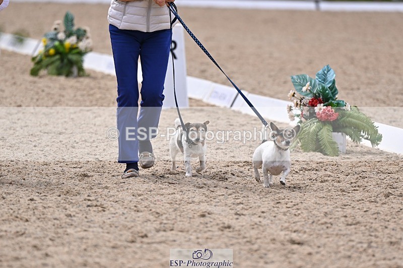 240809-121629-00719 - Dog Photos