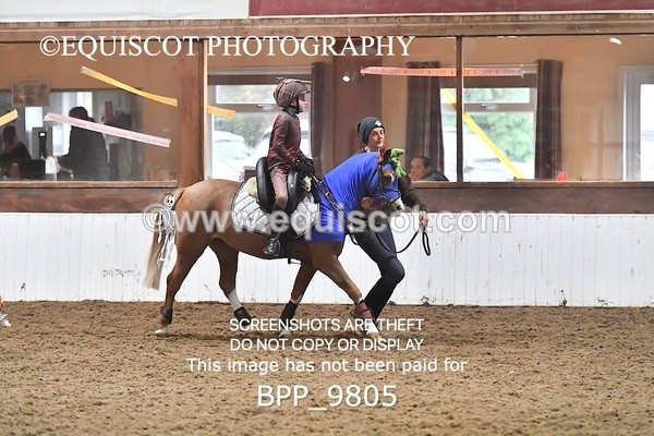 BPP_9805 - CLASS 1 CROSSPOLES