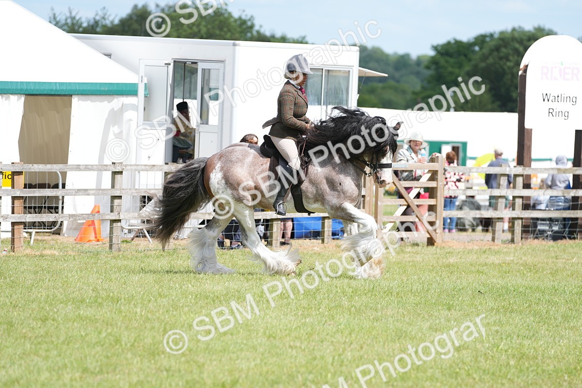 SBM_17202 - Class 107-108 - LIHS BSPS Performance Coloured Horse Pony