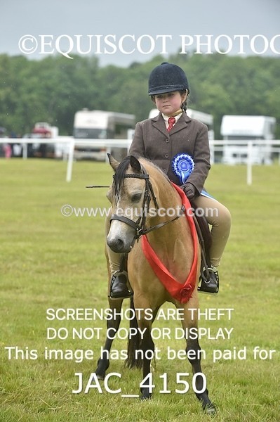 JAC_4150 - 40CM WORKING HUNTER