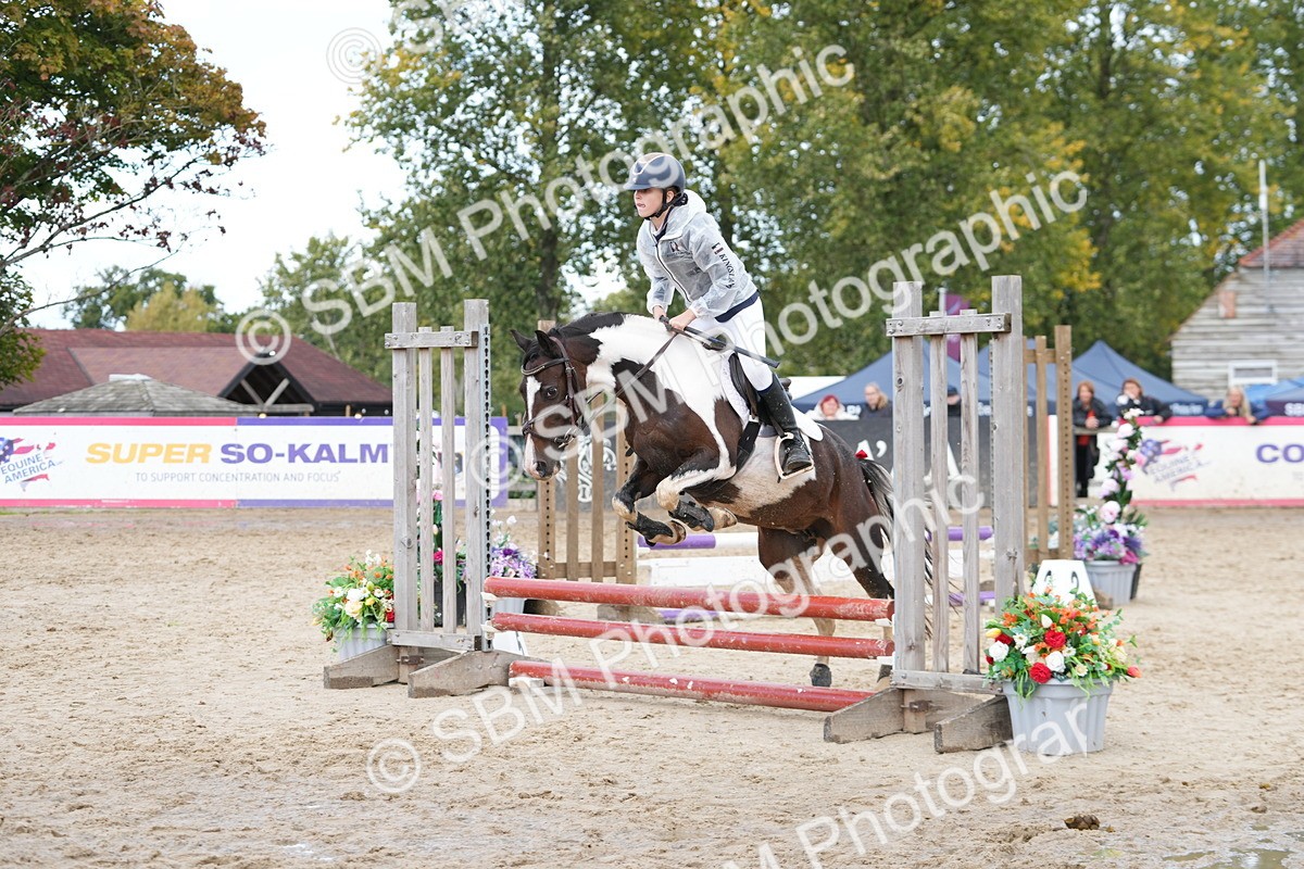 SBM_40704 - Supreme Championship Pony 50-55cm