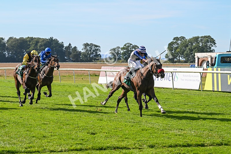 160924-Race 3-Moostar-2748 - Race 3