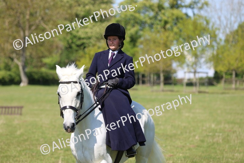 20250427-2551 - Class 20 - Working Hunter Ponies