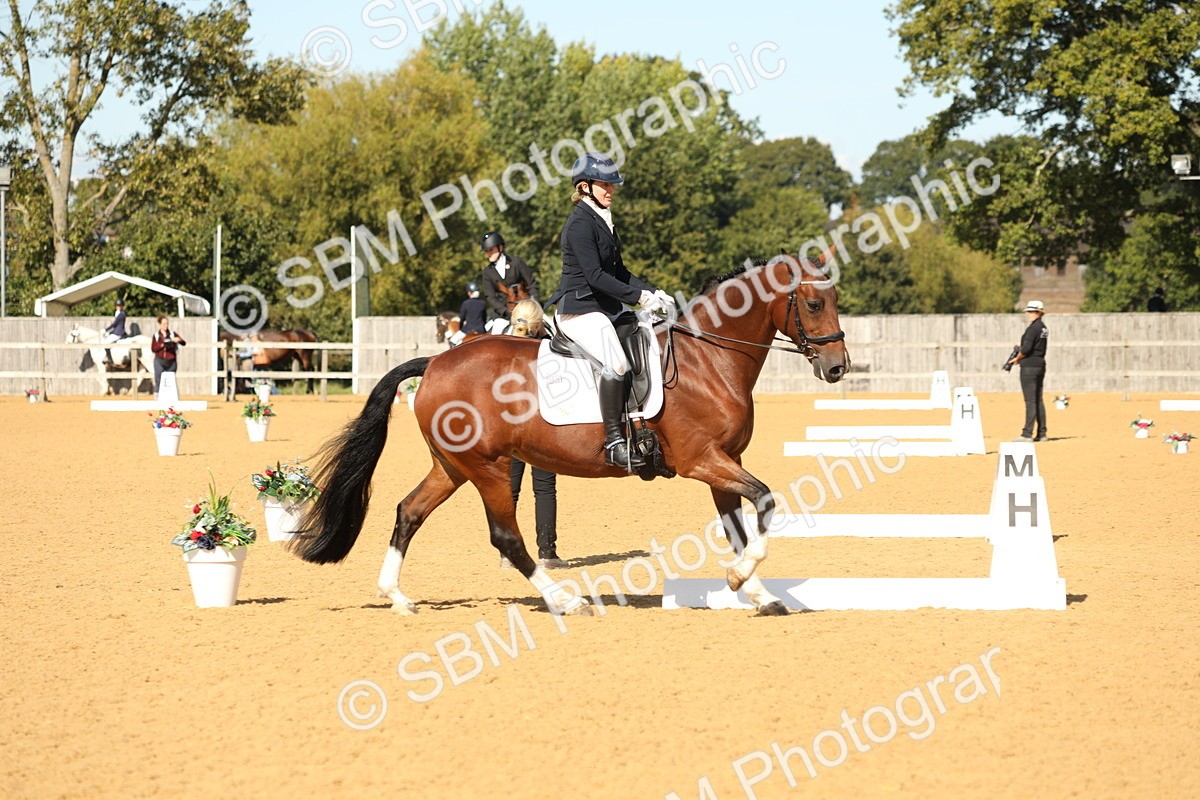 SBM_24526 - D17 - Grand Tour Championship - Novice 27