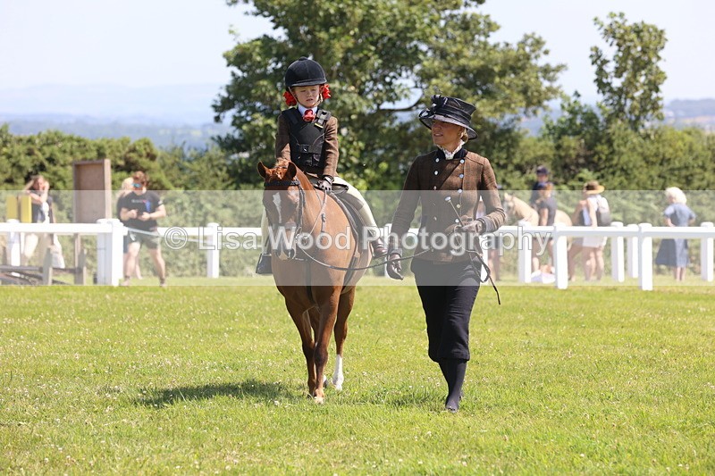 JPP_2165 - Class 20: Tiny Tots Working Hunter Pony