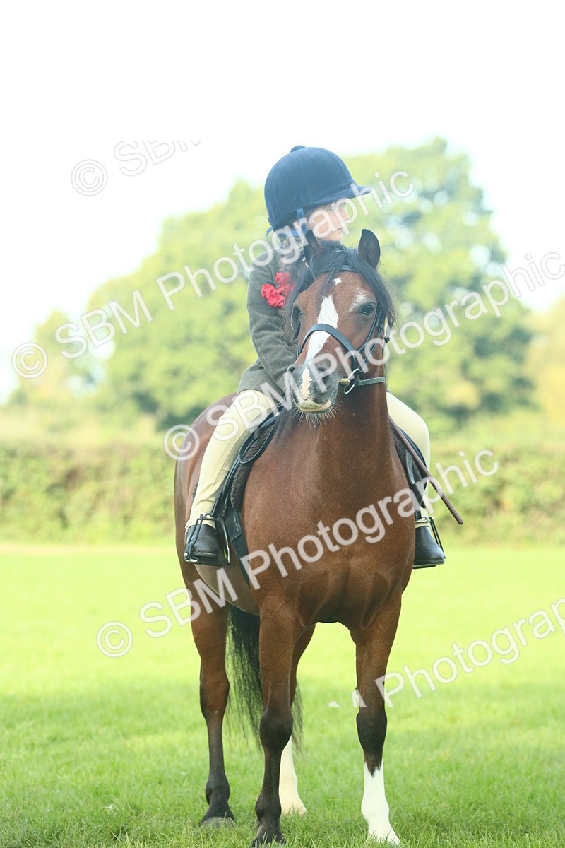 SBM_59856 - S38 - Starters Ridden Showing