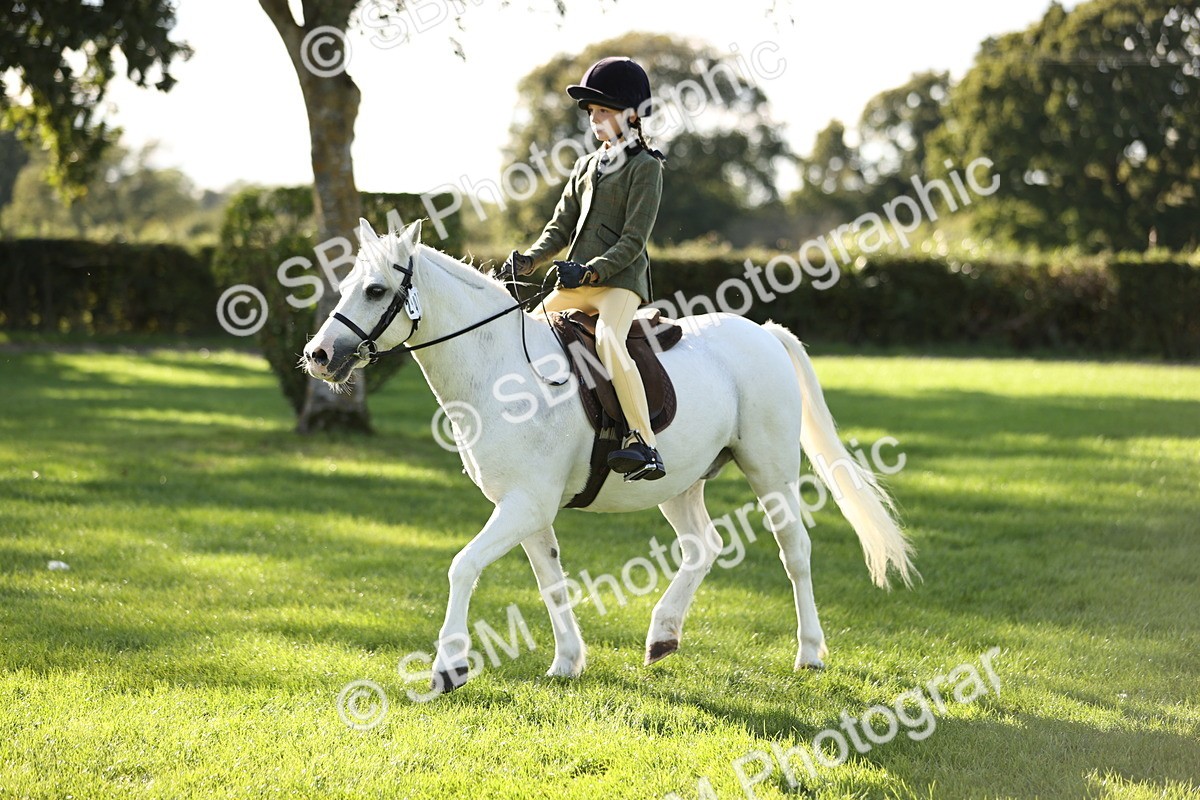 SBM_29356 - S7 - Novice & Newcomers Ridden Pony