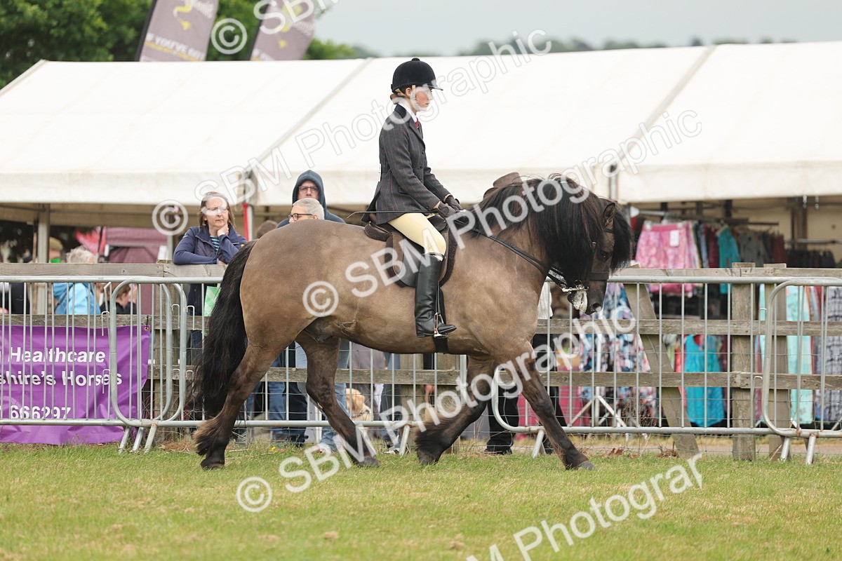SBM_08919 - Class 78-80 - Ridden M&M Non Welsh Ponies