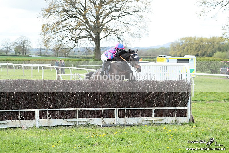 PtP 180426 104 - Worcestershire Hunt PtP Chaddesley Corbett 18/04/26