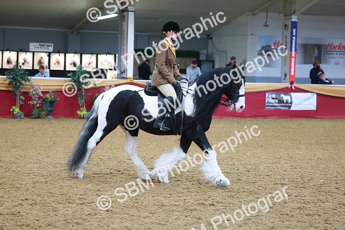 SBM_09734 - Class 102 - HOYS Veteran Qualifier - Ridden Veteran