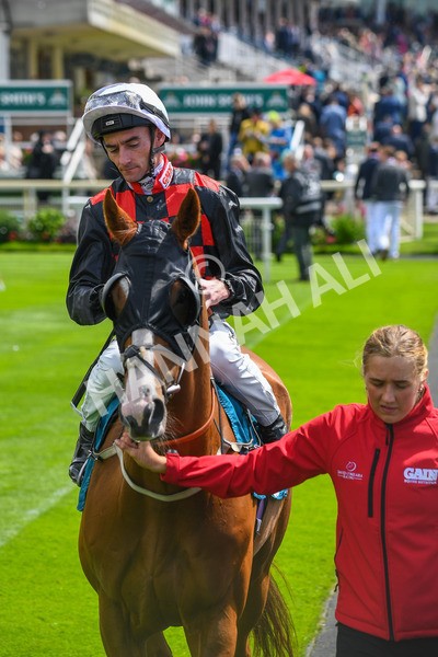 150723-Race 1-Blue For You-0027 - Race 1 2.00pm John Smith's Racing Handicap