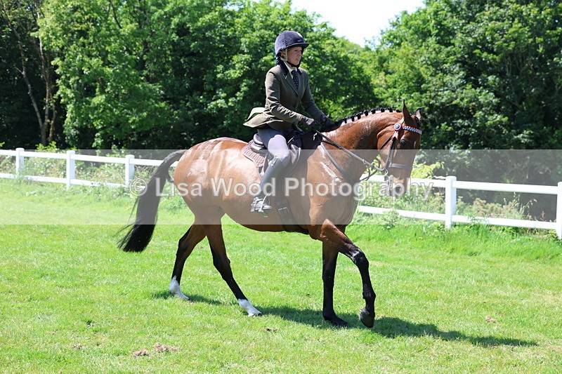3E7A7515 - Class 31: Working Hunter Cob/Riding Horse