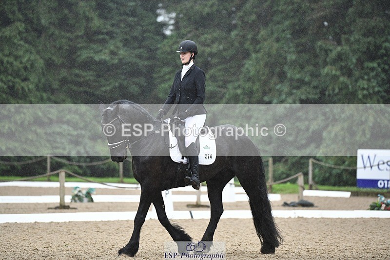 240720-094028-03565 - 274-Paige_Beattie-Orcaber_Dark_Secret
