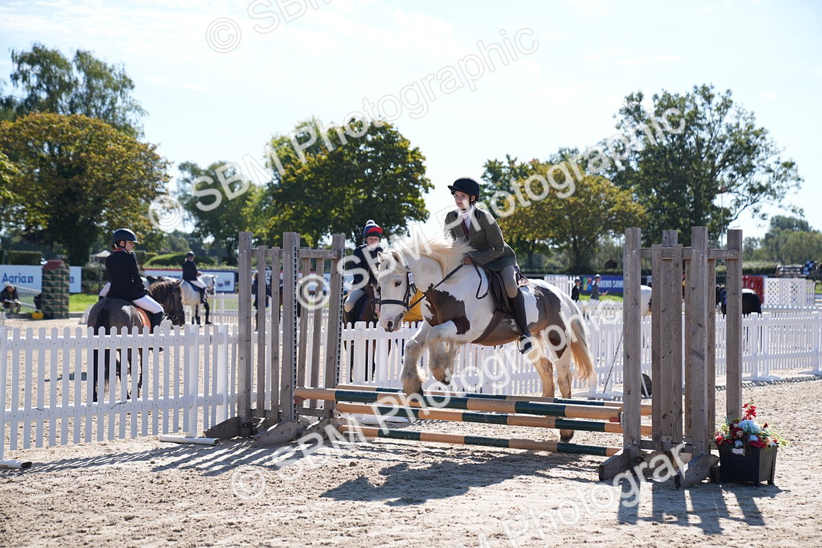 SBM_19378 - J57 - Clear Round 50cm