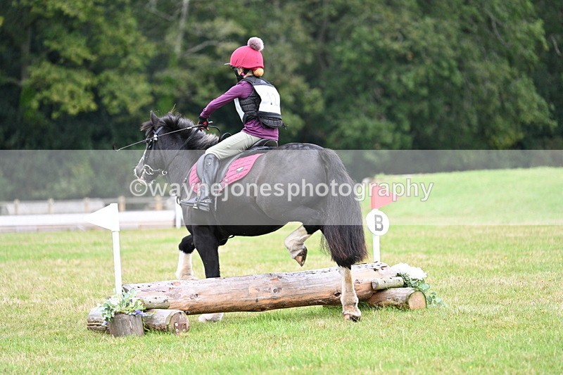 WJ7_7319 - 40cm Time 10:06 to 10:24