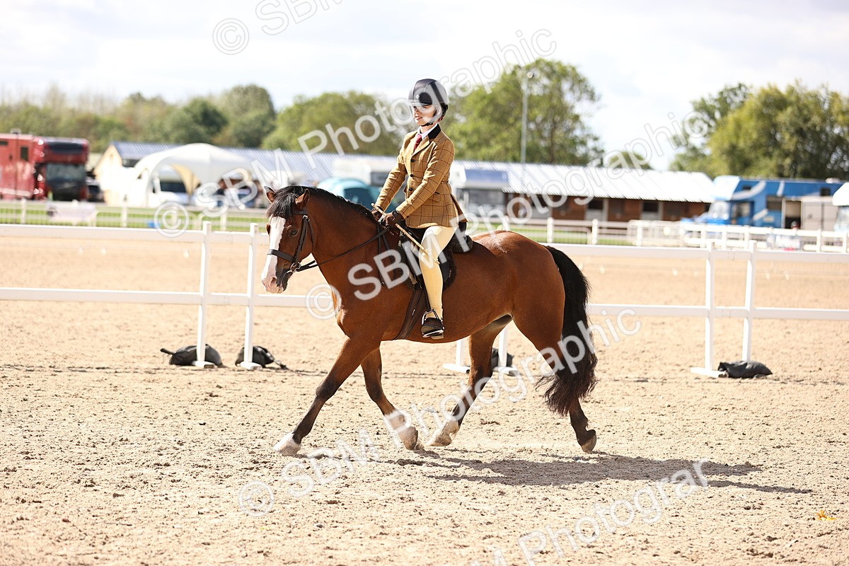 SBM_12878 - Class 409 - Grassroots Ridden - Pony