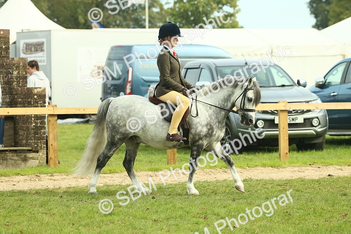 SBM_69780 - S59 - Mountain & Moorland Ridden Small Breeds
