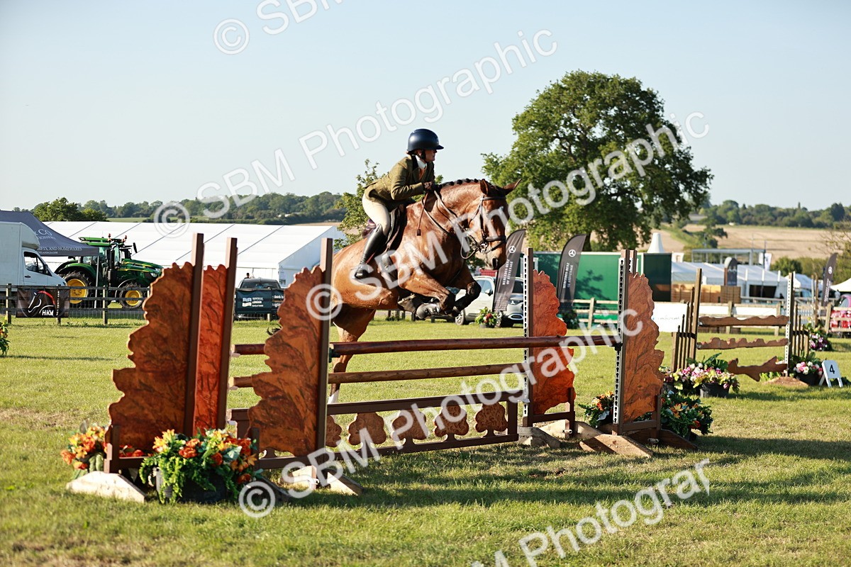 SBM_20371 - Class 117-119 - Sport Horse Working Hunter