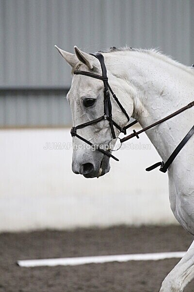 SIAL5745 - CAbin Dressage 5th july 2025