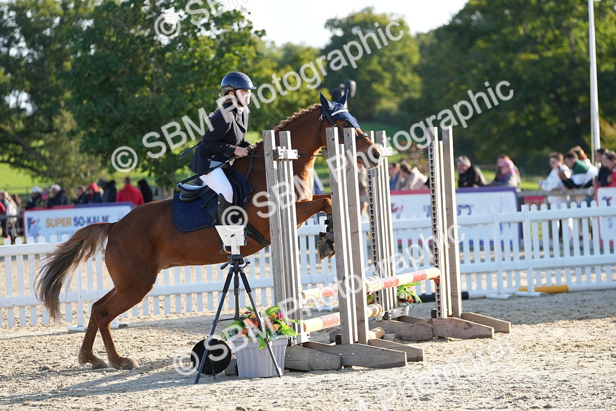 SBM_53930 - J8 - Junior Pony 65cm Championship