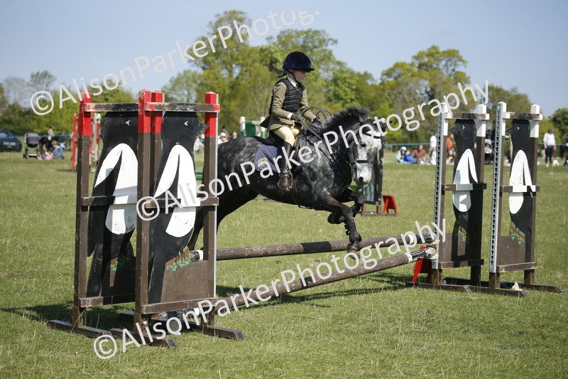 20250427-2147 - Class 13 - Novice Jumping 60cm