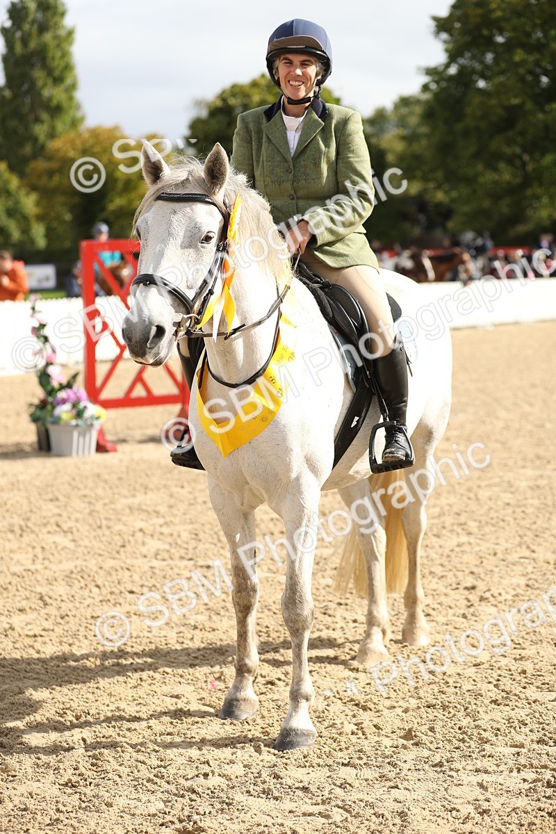 SBM_02048 - J34 - Veteran Rider 50cm