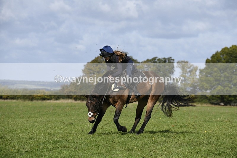 _DSC6726 - Time 11:23 to 12:05