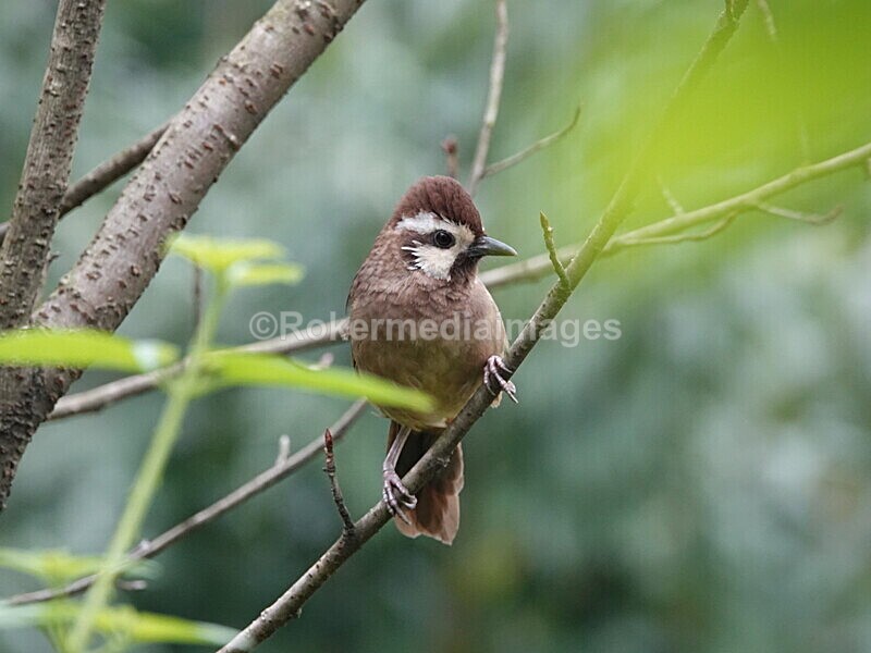CHINA__0332 - China 2019