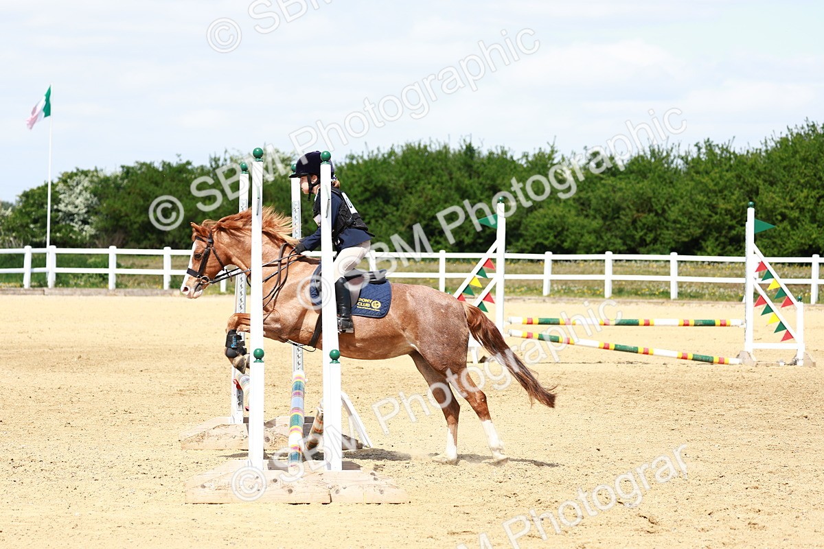 SBM_007724 - Class 3 - 60cm