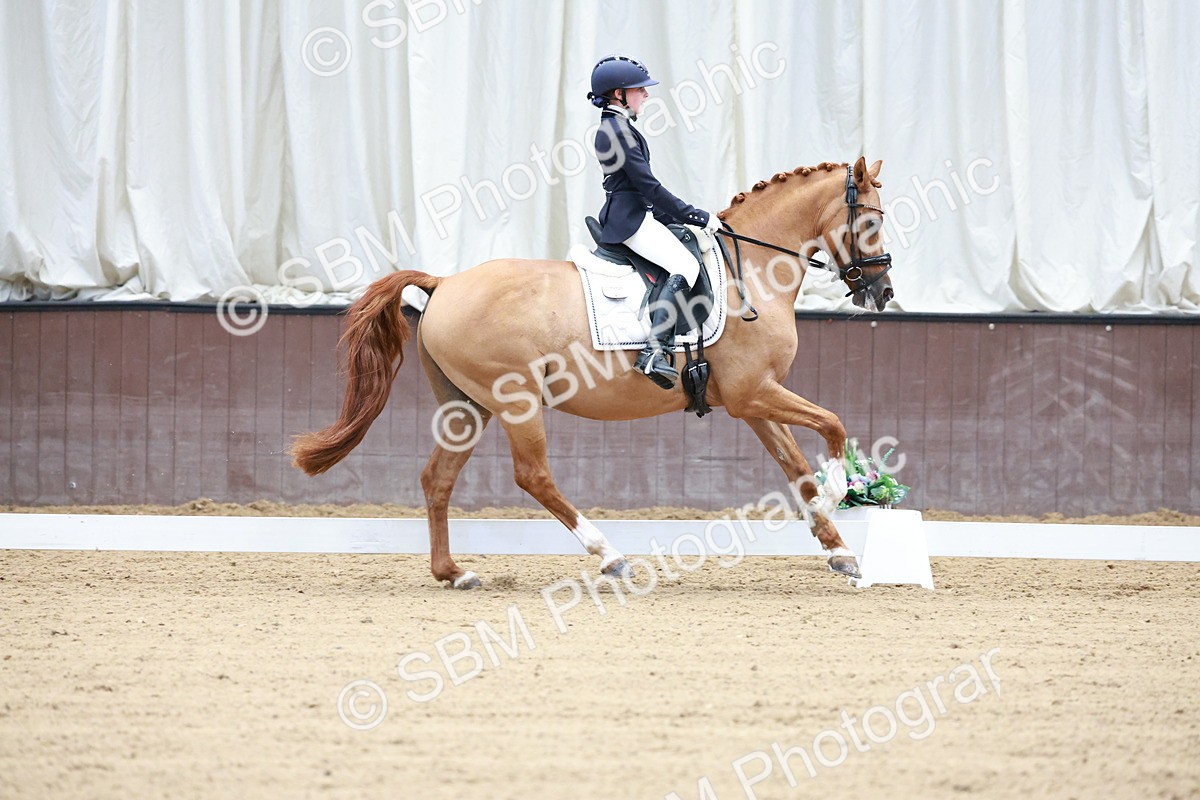 SBM_017085 - Class15 - FEI Pony