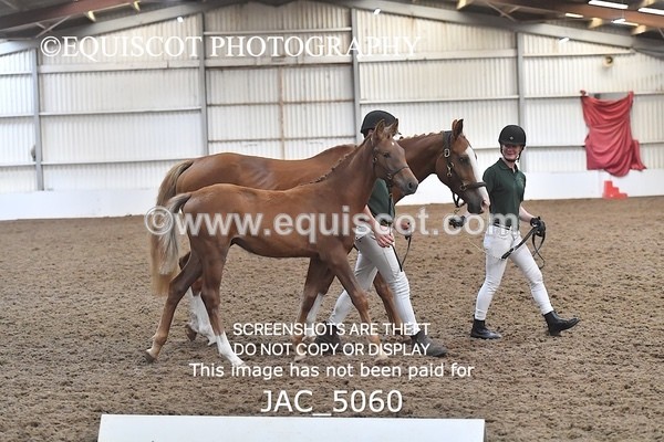 JAC_5060 - 9 Zinzipan