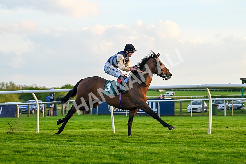 300424-Race 6-Kodi Lion-3101 - Race 6