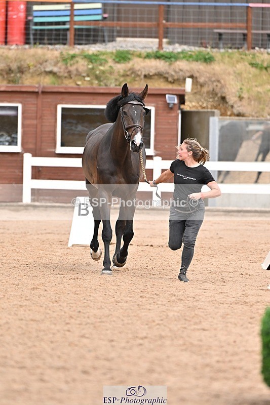 250716-162236-02596 - Trot Up 3.30 to 4.30