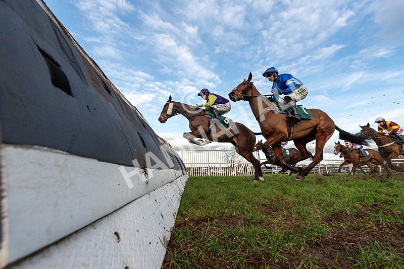 240226-Race 6-Dillarchie-5134 - Race 6