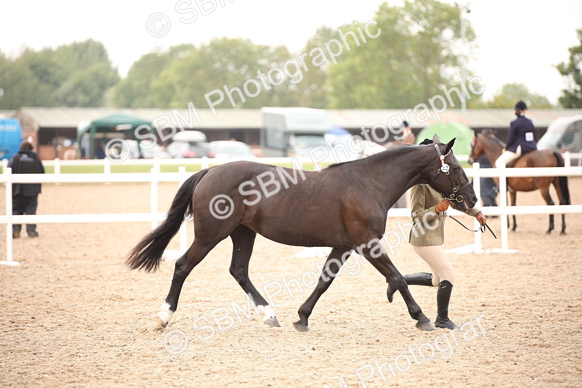 SBM_21465 - Class 706 - IH  Veteran