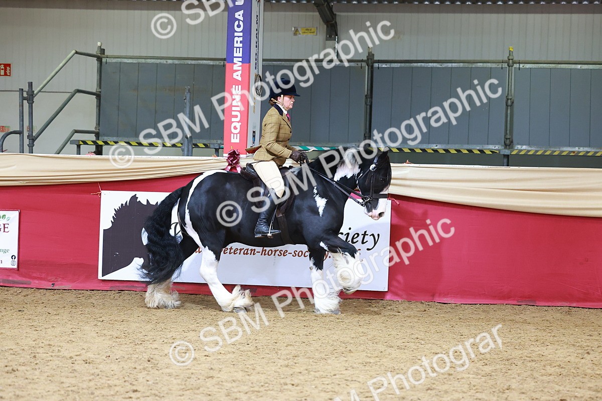 SBM_06203
