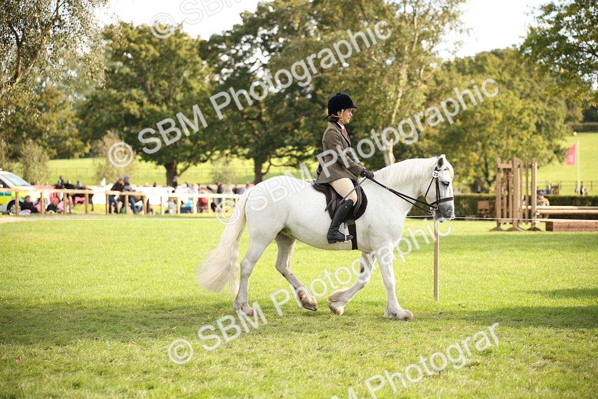 SBM_54244 - S27 - Mature Veteran - Ridden