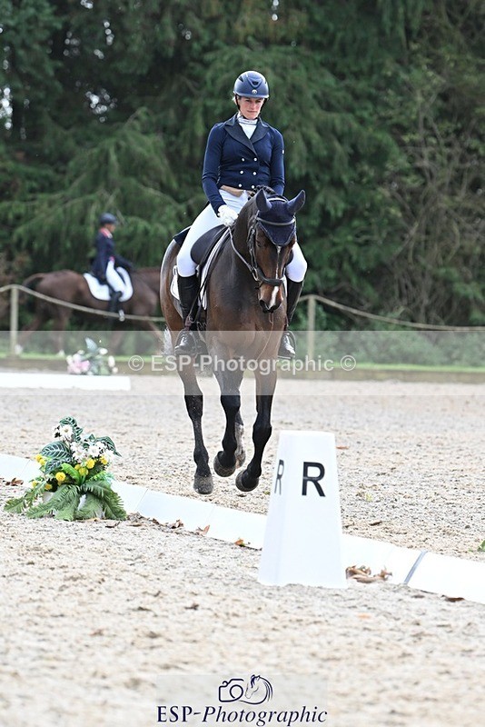 231019-145253-04296 - 057-OVERTON.TILANA'S.GOLD-Claire.Deuten-DR